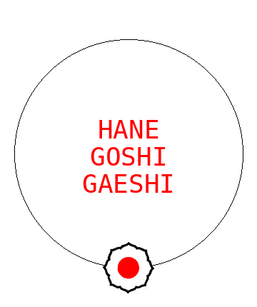 Hane Goshi Gaeshi