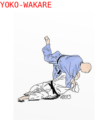 Yoko Wakare