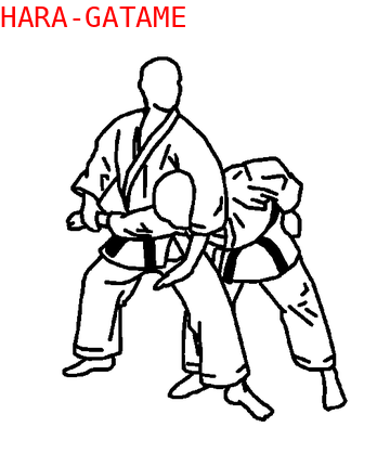 Ude Hishigi Hara Gatame