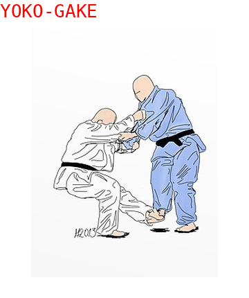 Yoko Gake