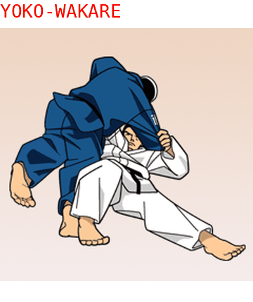 Yoko Wakare