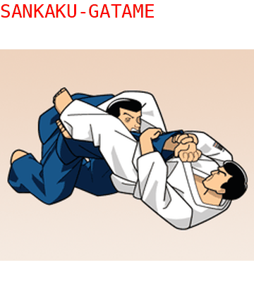 Ude Hishigi Sankaku Gatame