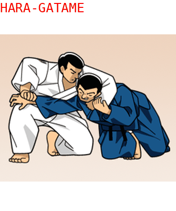 Ude Hishigi Hara Gatame