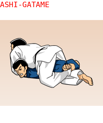 Ude Hishigi Ashi Gatame