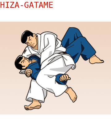 Ude Hishigi Hiza Gatame