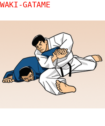 Ude Hishigi Waki Gatame